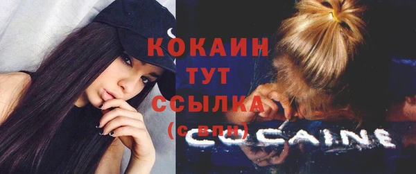 стаф Абинск