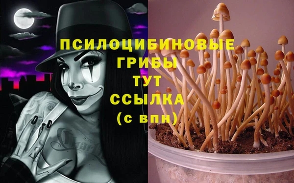 прущая мука Абдулино