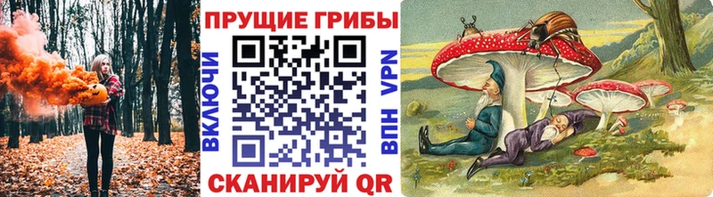 Галлюциногенные грибы MAGIC MUSHROOMS Поворино