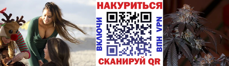 сколько стоит  Поворино  Бошки Шишки ГИДРОПОН 